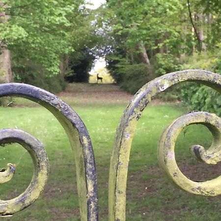 フック Borough Courtゲストハウス エクステリア 写真