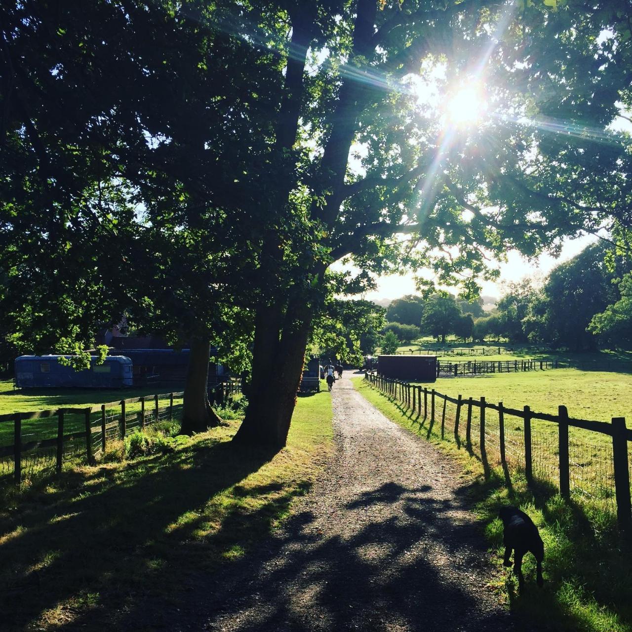 フック Borough Courtゲストハウス エクステリア 写真
